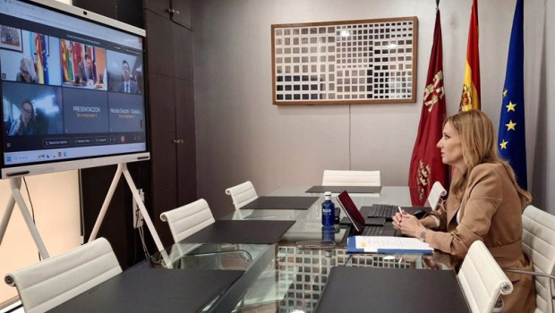 ep la consejera de empresa empleo y economia social marisa lopez aragon durante la videoconferencia