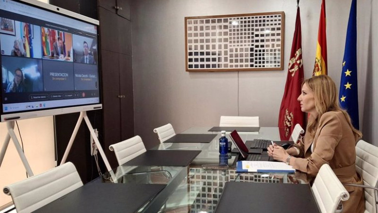 ep la consejera de empresa empleo y economia social marisa lopez aragon durante la videoconferencia ep la consejera de empresa empleo y economia social marisa lopez aragon durante la videoconferencia
