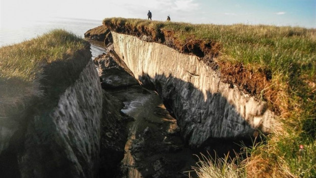 ep la erosionla costa revelacapa de permafrost enlago teshekpuk en alaska