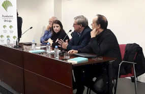 ep la vicesecretaria general del psoe federal y portavoz del grupo parlamentario socialista en el