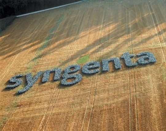 ep syngenta