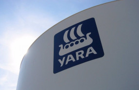 ep terminal de yara