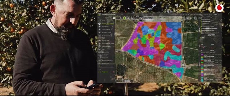 Un trabajador consulta la plataforma MyFarmWeb en una aplicación | VODAFONE ep un trabajador consulta la plataforma myfarmweb en una aplicacion
