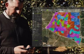 ep un trabajador consulta la plataforma myfarmweb en una aplicacion