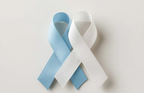 nota prensa noviembre nota prensa noviembre