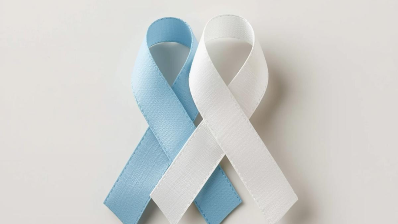 nota prensa noviembre