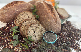 pan origen germina natura mejor pan saludable 