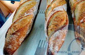 panaderos palma panaderos palma