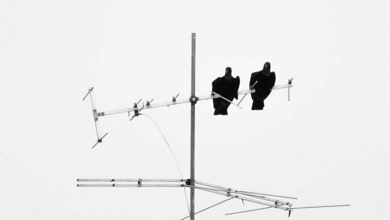 1625645132 pexels manuel moutinho 1804304 min 