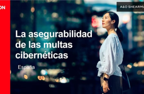 aon asegurabilidad multas cibernticas