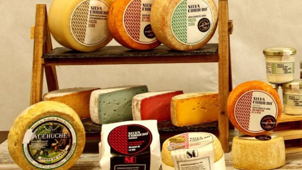 ep archivo   acehuche caceres estrena en la xvi feria iberica del queso de cabra el sello
