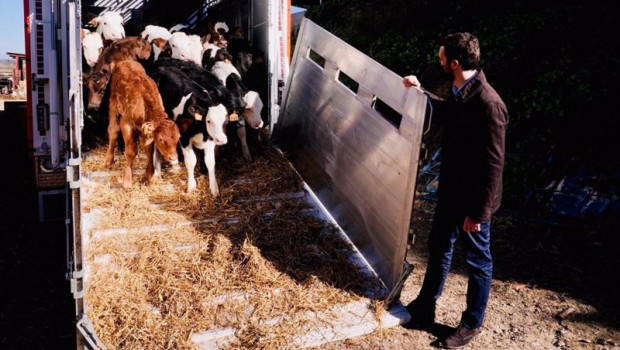 ep archivo   pablo casado presidente del pp visitando una explotacion ganadera en alcarras lleida