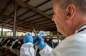 ep archivo   proceso de vacunacion de dnc