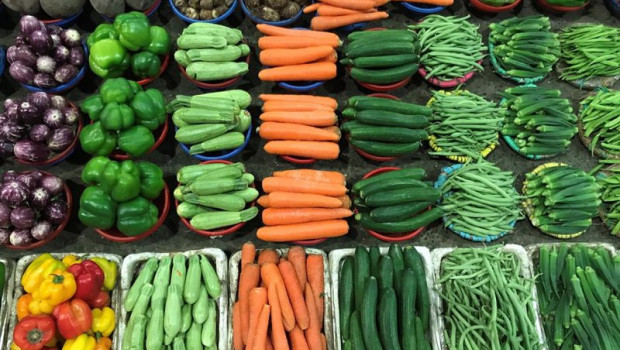 ep archivo - verduras y hortalizas de huerta de proximidad