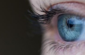 ep ojo retina