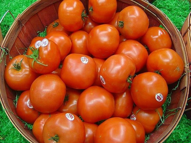 ep tomates 20170822130702