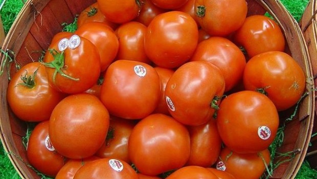 ep tomates 20170822130702