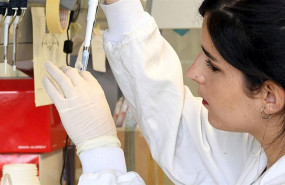 ep una investigadora trabaja en el laboratorio cimus de la usc ep una investigadora trabaja en el laboratorio cimus de la usc
