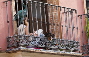 ep una joven leyendo un libro en la terraza de su casa