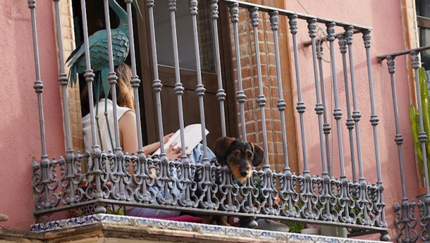 ep una joven leyendo un libro en la terraza de su casa