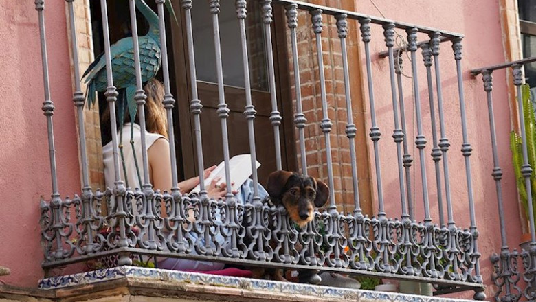ep una joven leyendo un libro en la terraza de su casa