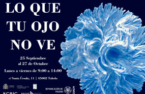 lo que tu ojo no ve lo que tu ojo no ve