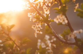 quironprevencion el camino hacia la primavera quironprevencion el camino hacia la primavera