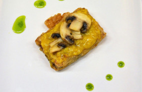 tapa almazn tapa almazn