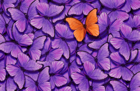 1180x768 audiencias saturadas 1180x768 audiencias saturadas