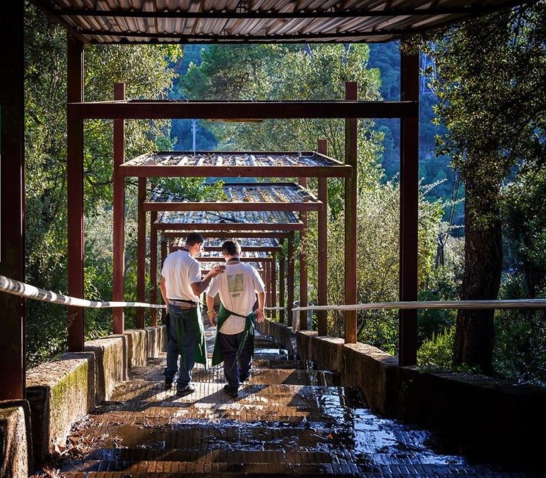 1590487562 inoutfoto1