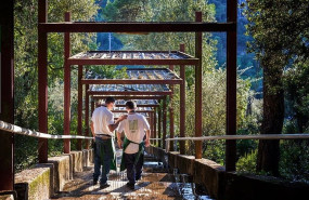 1590487562 inoutfoto1