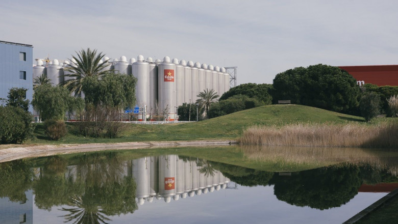 1616670129 dsf4790 v