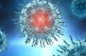 captura de pantalla 2021 07 23 a las 132459