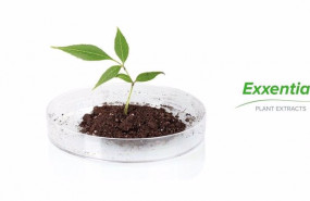 ep archivo   producto exxentia de biosearch