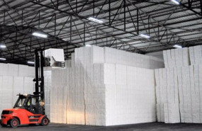 ep bloques de celulosa en ence navia 20210114115804