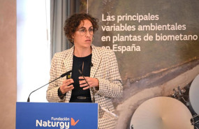ep el desarrollo del biometano en espana exige rigor ambiental regulacion y planificacion segun