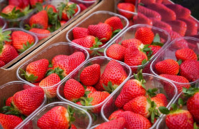 ep imagen de archivo de fresas