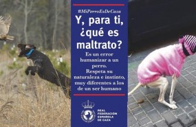 ep la rfec lanzacampanala humanizacion deperros