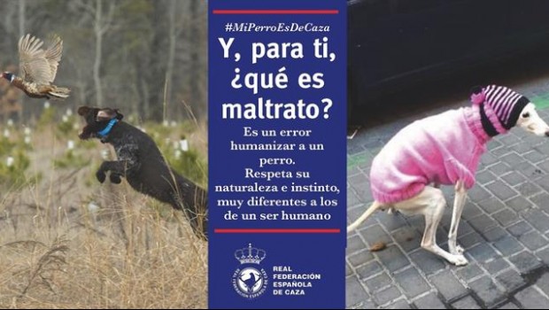 ep la rfec lanzacampanala humanizacion deperros