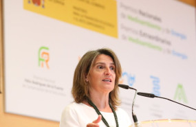 ep la vicepresidenta tercera y ministra para la transicion ecologica y el reto demografico teresa 20220614105505