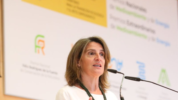 ep la vicepresidenta tercera y ministra para la transicion ecologica y el reto demografico teresa 20220614105505