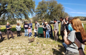ep liberacion de un lince iberico en la zona de reintroduccion de los montes de toledo