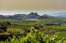 ep proyecto la carbonera en la rioja