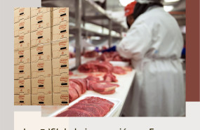 foto las 3 s de la innovacin de emcesa 