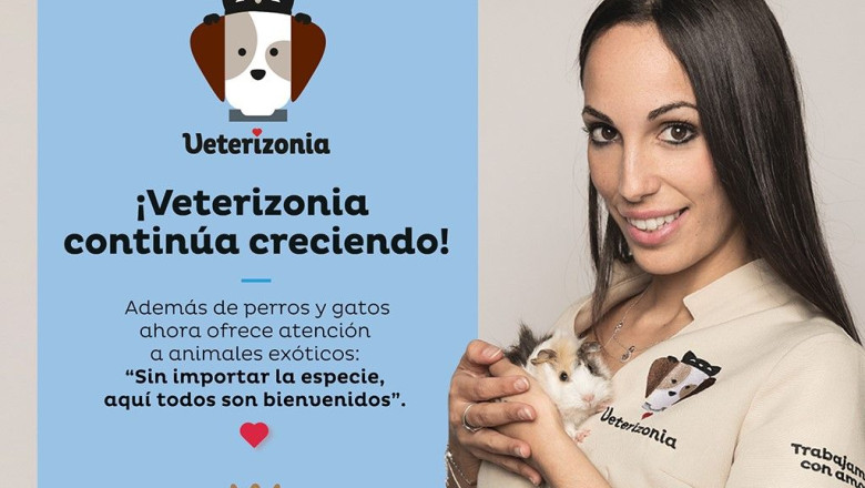 1655146578 veterizonia sigue creciendo