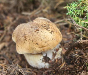 captura de pantalla 2022 10 21 a les 174203