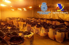 ep 12 detenidosuna rednarcos