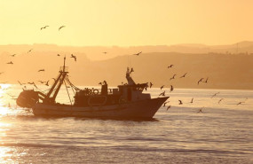 ep archivo   barco pesquero 20231120192003