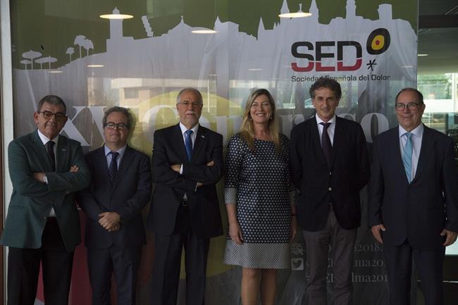 Congreso de la Sociedad Española del Dolor | SOCIEDAD ESPAÑOLA DEL DOLOR ep congresola sociedad espanoladolor
