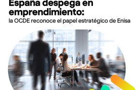 ep la ocde constata el papel estrategico de enisa en el rapido avance del ecosistema emprendedor